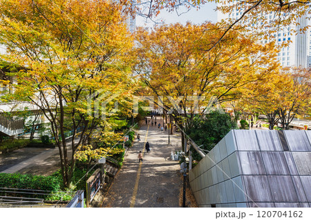 オフィス街の秋景色　新宿副都心 120704162
