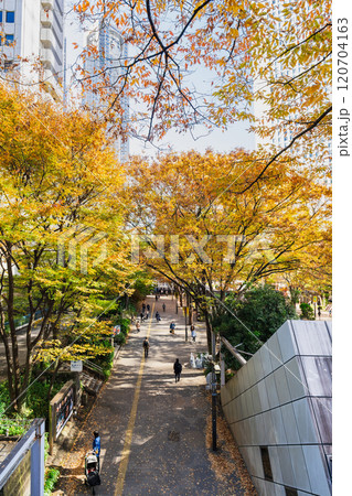 オフィス街の秋景色　新宿副都心 120704163