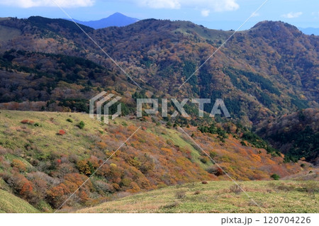 大川嶺　紅葉狩り　（愛媛県　四国カルスト） 120704226