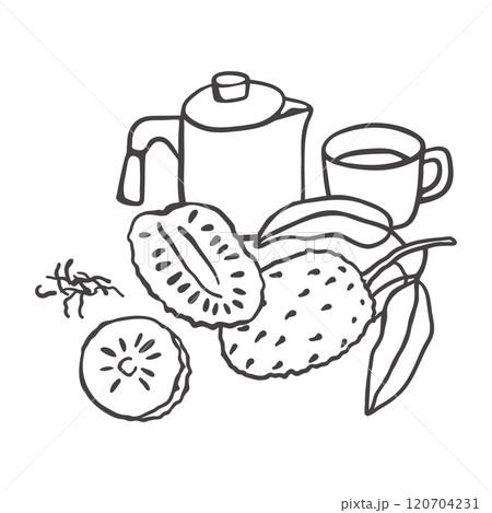 Hand drawn soursop tea composition 120704231