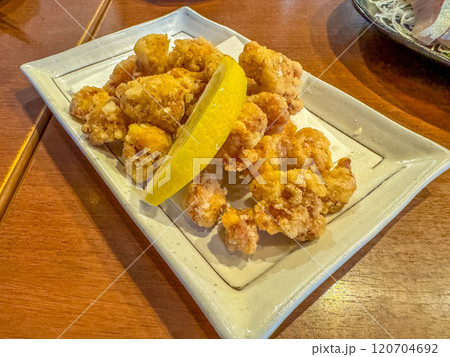 居酒屋メニュ~から揚げ~ 居酒屋メニュ~から揚げ~ 120704692