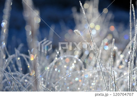 霜原の虹色の光 120704707