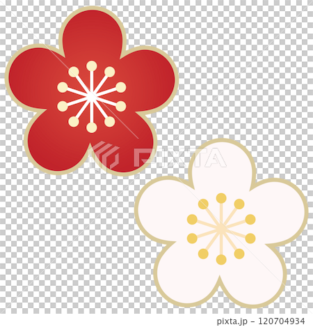 シンプルな梅の花のイラスト 120704934