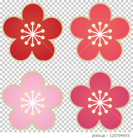 簡單的梅花開花圖 簡單的梅花開花圖 120704935