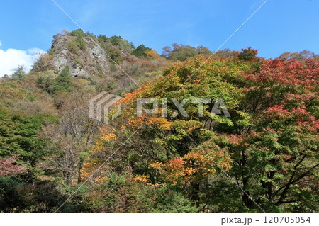 彩る古岩屋 紅葉狩り (愛媛県 久万高原町) 彩る古岩屋 紅葉狩り (愛媛県 久万高原町) 120705054