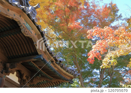紅葉に包まれた古い建物 紅葉に包まれた古い建物 120705070