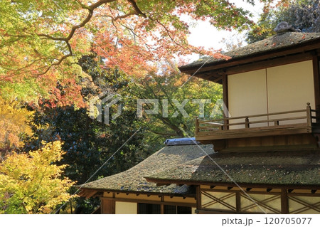 紅葉に包まれた古い建築 120705077