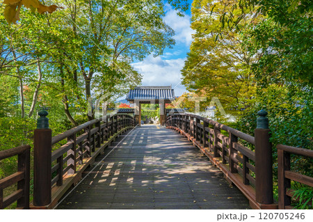 大阪府池田市 池田城跡公園の木橋と大手門 大阪府池田市 池田城跡公園の木橋と大手門 120705246