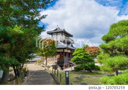 大阪府池田市　池田城跡公園の日本庭園と櫓風展望休憩舎 120705259