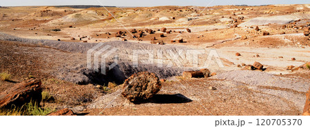 Panorama Bleak Landscape Petrified Forest National Park Arizona Panorama Bleak Landscape Petrified Forest National Park Arizona 120705370