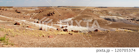 Panorama Bleak Landscape Petrified Forest National Park Arizona 120705374