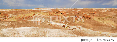 Panorama Bleak Landscape Petrified Forest National Park Arizona Panorama Bleak Landscape Petrified Forest National Park Arizona 120705375