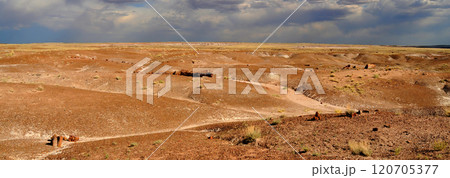 Panorama Bleak Landscape Petrified Forest National Park Arizona Panorama Bleak Landscape Petrified Forest National Park Arizona 120705377