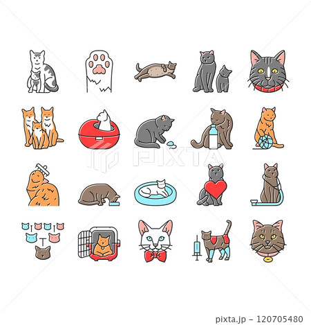 cat breeding genetics cattery icons set vector cat breeding genetics cattery icons set vector 120705480