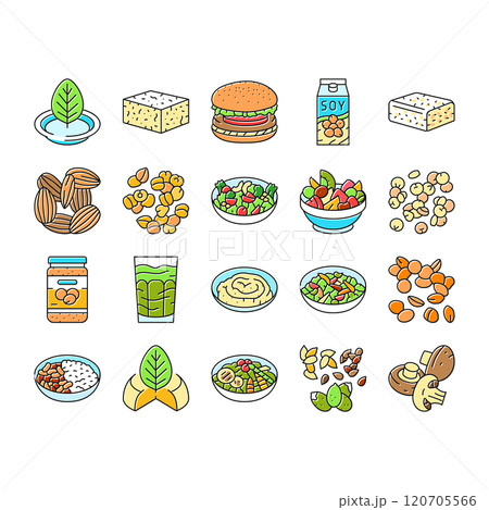 vegan food fresh organic icons set vector vegan food fresh organic icons set vector 120705566