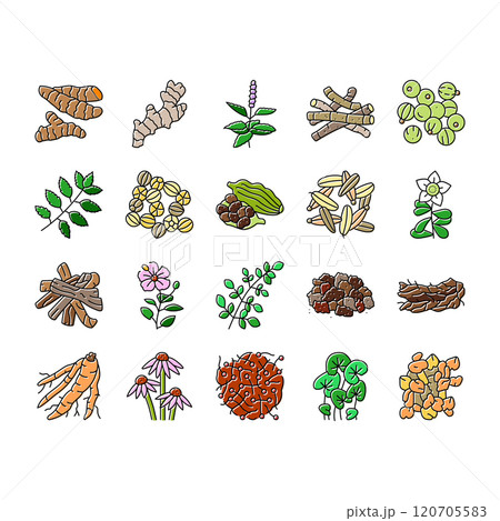 ayurvedic herbs medicine health icons set vector ayurvedic herbs medicine health icons set vector 120705583