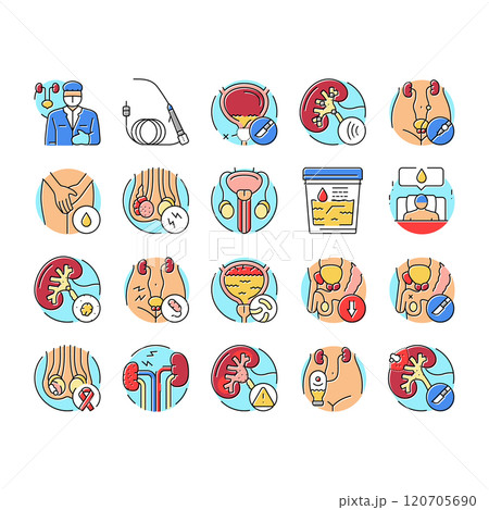 urology prostate urinary kidney icons set vector urology prostate urinary kidney icons set vector 120705690