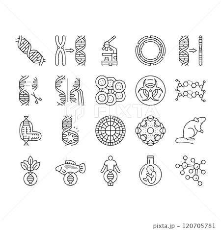 genetic engineering crispr genome icons set vector genetic engineering crispr genome icons set vector 120705781