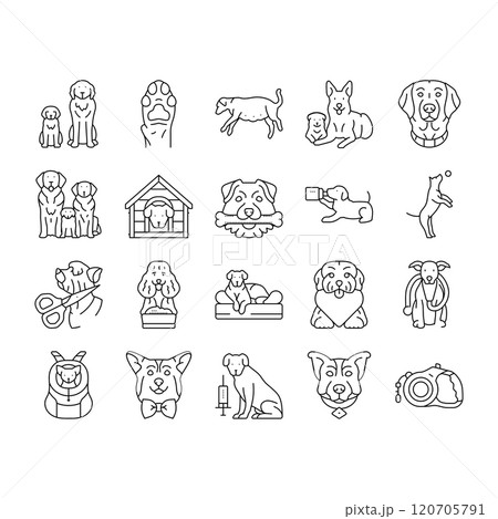 dog breeding genetics pedigree icons set vector 120705791