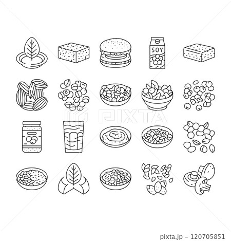 vegan food fresh organic icons set vector vegan food fresh organic icons set vector 120705851