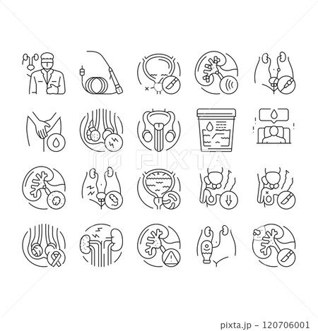 urology prostate urinary kidney icons set vector 120706001
