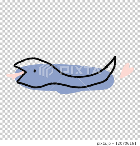 Cute simple snake hand drawn illustration Cute simple snake hand drawn illustration 120706161