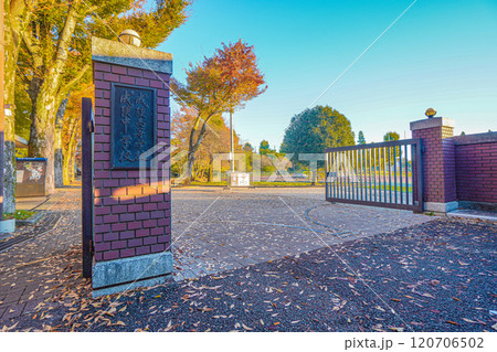 成蹊中学校・高等学校 成蹊中学校・高等学校 120706502