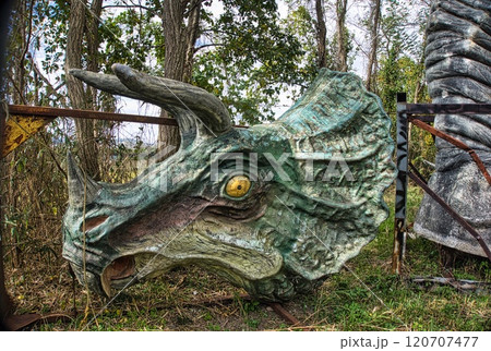 巨大なトリケラトプスの頭 120707477