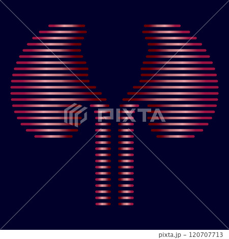 kidney vector illusrtation 120707713