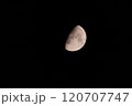 半月～上弦の月 120707747