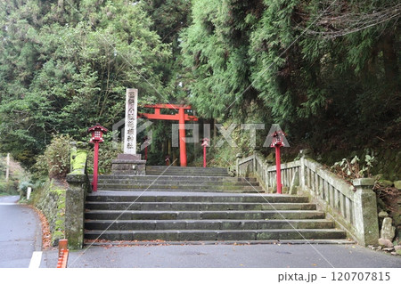 箱根神社の鳥居 箱根神社の鳥居 120707815