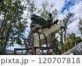 大ワニに食らいつく巨大な恐竜 120707818