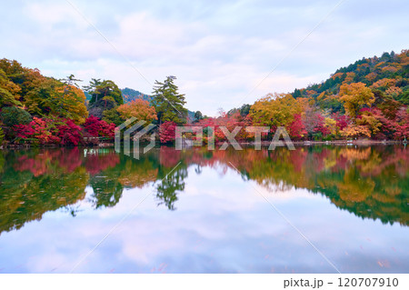 秋の再度公園 秋の再度公園 120707910