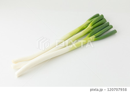 綺麗な長ネギのイメージ02 綺麗な長ネギのイメージ02 120707938