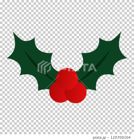 簡單的冬青向量插畫素材 120709104