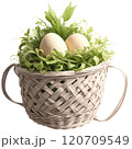 Chicken eggs in a basket isolated on a transparent background 120709549