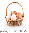 Chicken eggs in a basket isolated on a transparent background 120709555