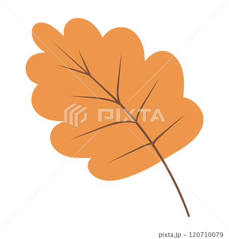 Leaf for the Holiday Season. Autumn Gratitude Simple Thanksgiving Leaf.Golden and green Oak Leaf. A Thanksgiving Symbol.Harvest Elegance: Thanksgiving Foliage.Thanksgiving Spirit: Autumn Oak Leaf Desi 120710079