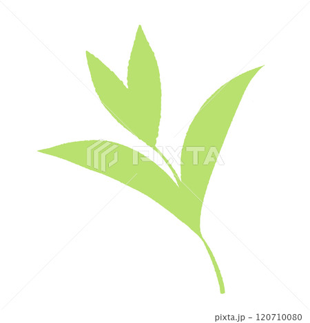Leaf for the Holiday Season. Autumn Gratitude Simple Thanksgiving Leaf.Golden and green Oak Leaf. A Thanksgiving Symbol.Harvest Elegance: Thanksgiving Foliage.Thanksgiving Spirit: Autumn Oak Leaf Desi 120710080