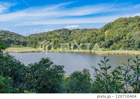 磐田市にある桶ヶ谷沼の風景(静岡県) 磐田市にある桶ヶ谷沼の風景(静岡県) 120710404