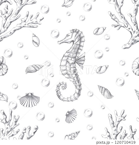 Seamless pattern with seahorses and corals on a white background. Pencil graphic illustration for seafood restaurant design, packaging printing, printing, holiday decoration in a marine style 120710419