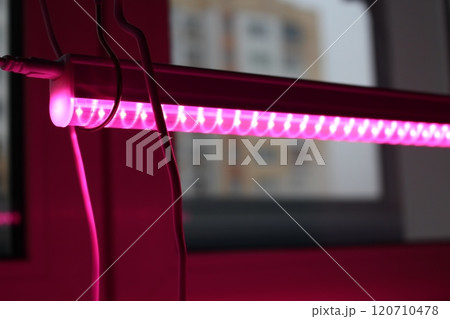 Full spectrum linear light, phytolamp on the windowsill 120710478