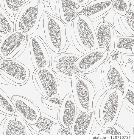 Papaya sketch seamless black and white pattern. Fruit doodle outline monochrome background. Food print good for printing on fabric, wrapping paper, wallpaper 120710787