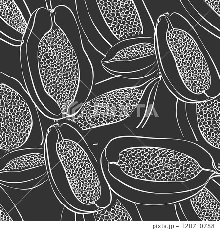 Papaya seamless pattern. Fruit monochrome background. Food black and white print 120710788