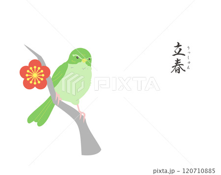 二十四節気の立春カラー壁紙イラスト 120710885