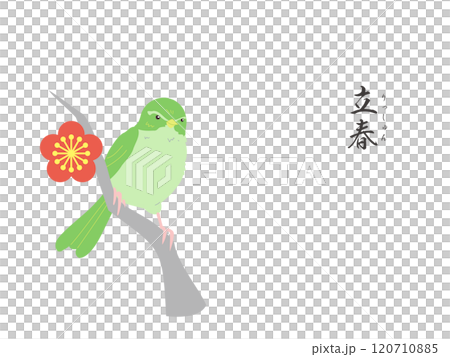 二十四節気の立春カラー壁紙イラスト 120710885