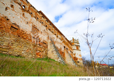 Stare Selo Old village Castle, Lviv region, Ukraine. Castle in the Stare Selo old village near the Lviv in western Ukraine 120711022