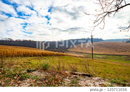 beautiful Ukrainian landscape. Road to the village beautiful Ukrainian landscape. Road to the village 120711038