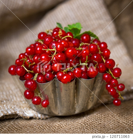 juicy currant berries on burlap near an old teapot 120711063