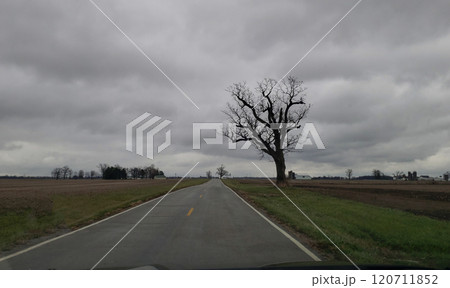 Lonely Country Road During a Cloudy Day in Autumn, Madison County, Ohio Lonely Country Road During a Cloudy Day in Autumn, Madison County, Ohio 120711852